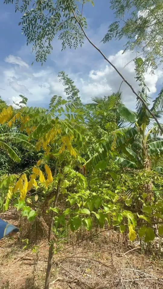 Residential Land for Sale in Kataragama