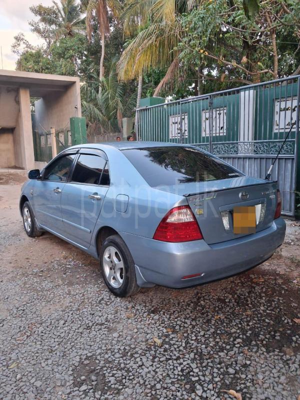 Toyota Corolla 2005 - பயன்படுத்தப்பட்டது கார் sale in Sri Lanka - patpat.lk