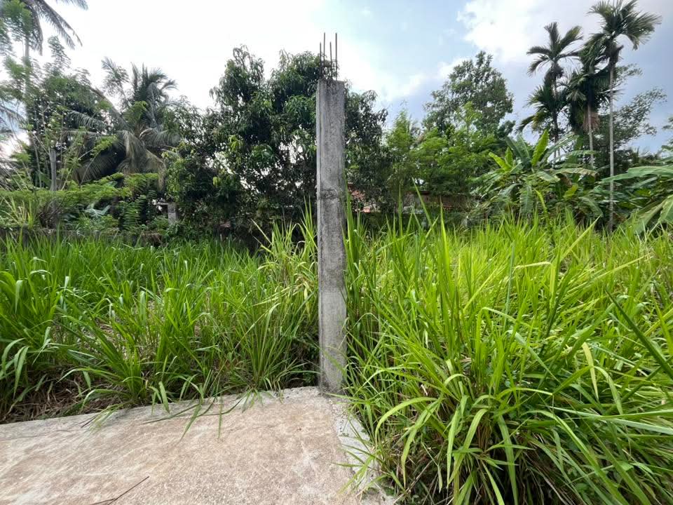 Commercial Land for Sale in Dewalegama