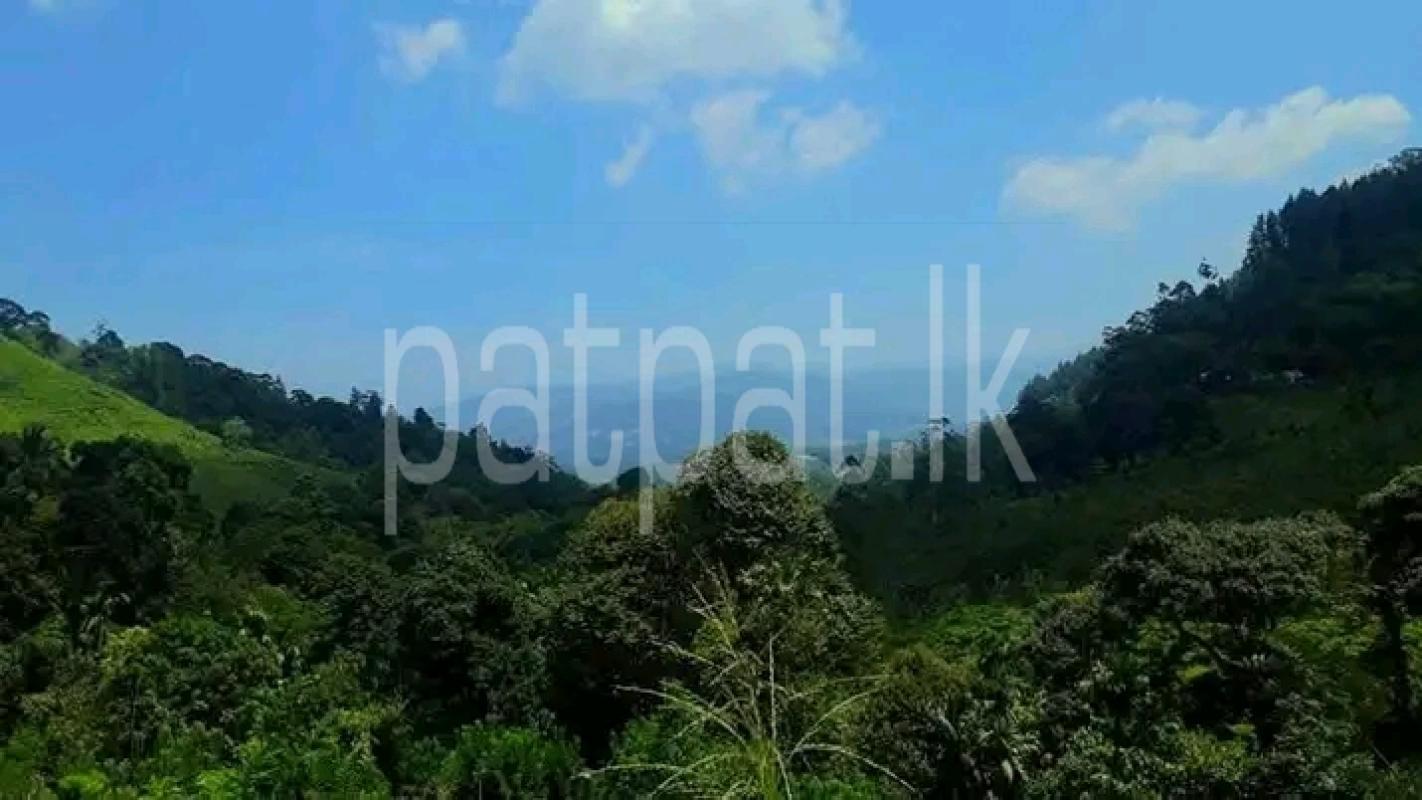 Commercial Land for Sale in Nawalapitiya