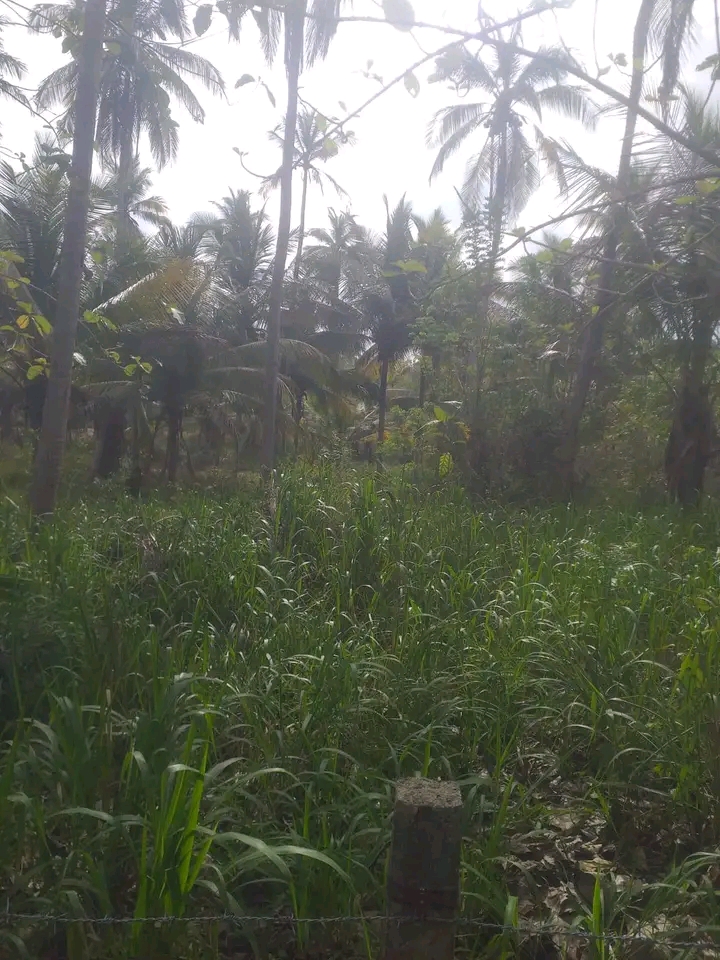 Commercial Land for Sale in Hambantota ads-image-1