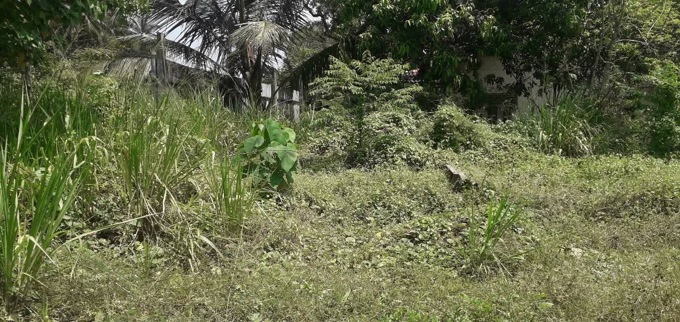 Commercial Land for Sale in Athurugiriya