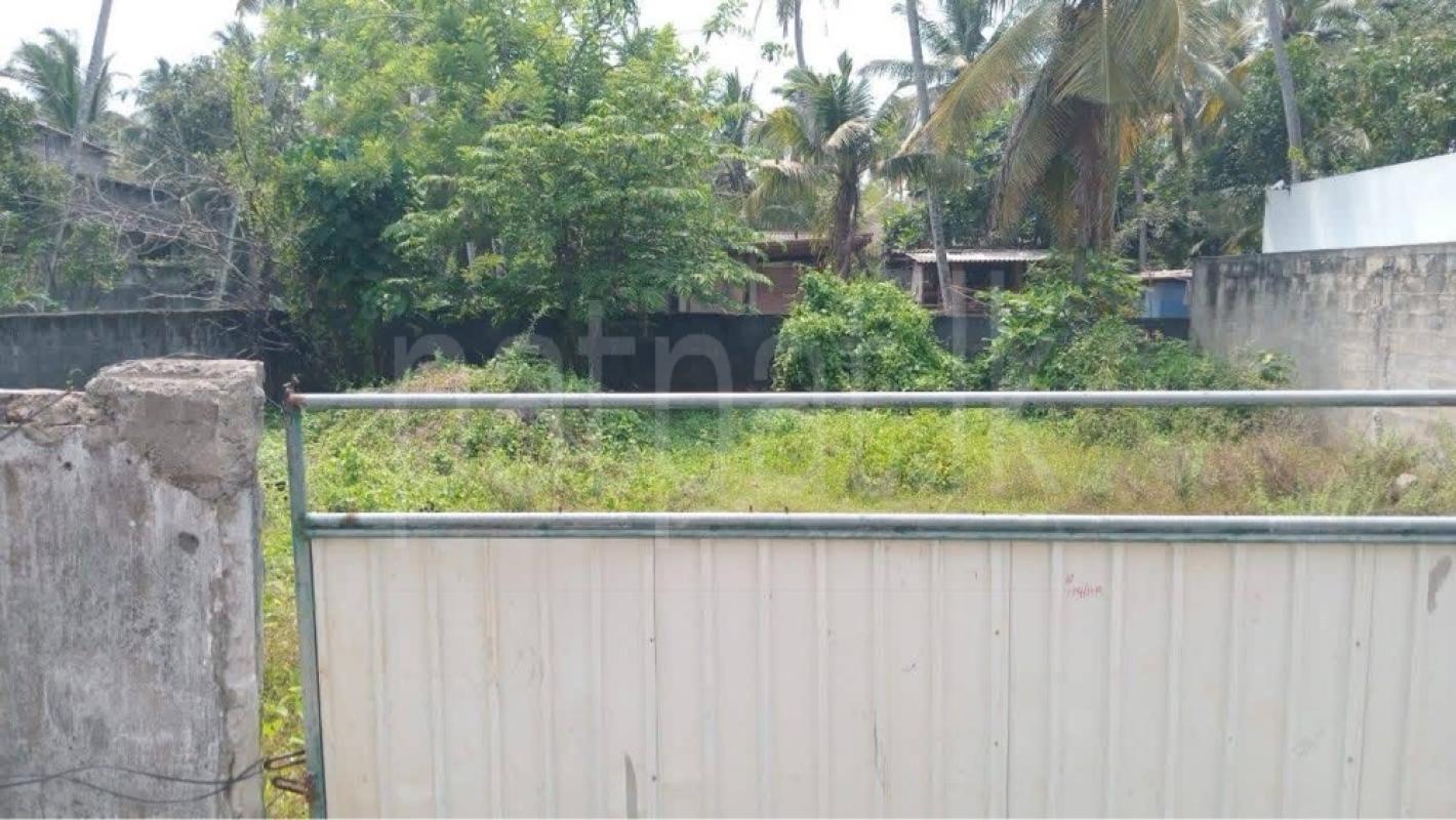 Residential Land for Sale in Panadura ads-image-1