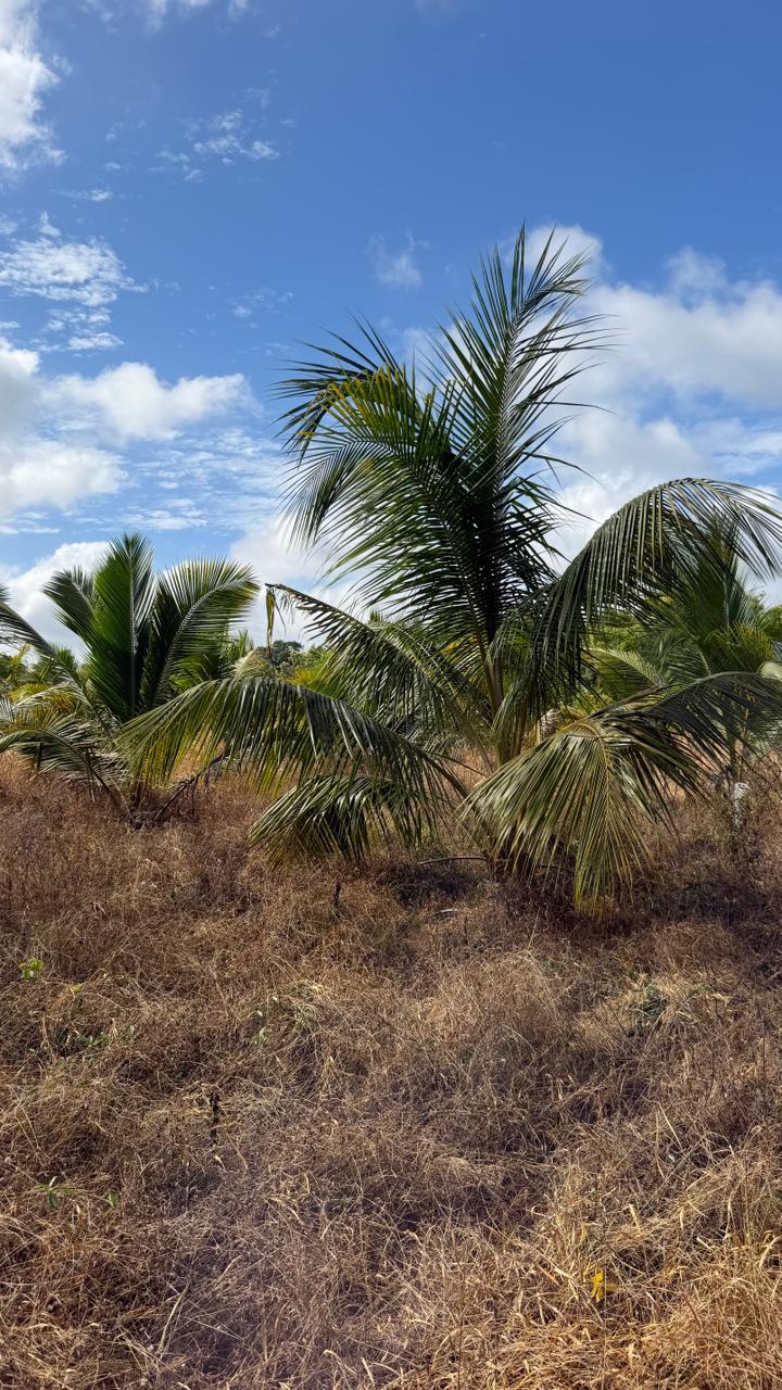Commercial Land for Sale in Anuradhapura