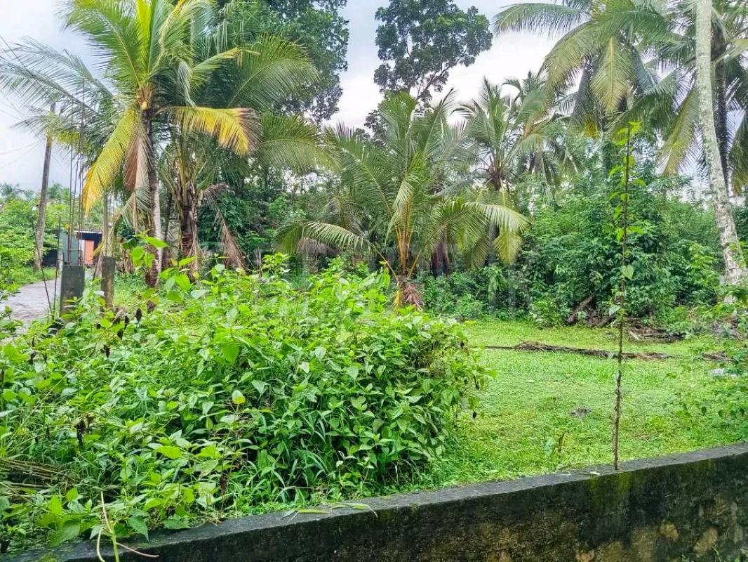 Residential Land for Sale in Talawatugoda
