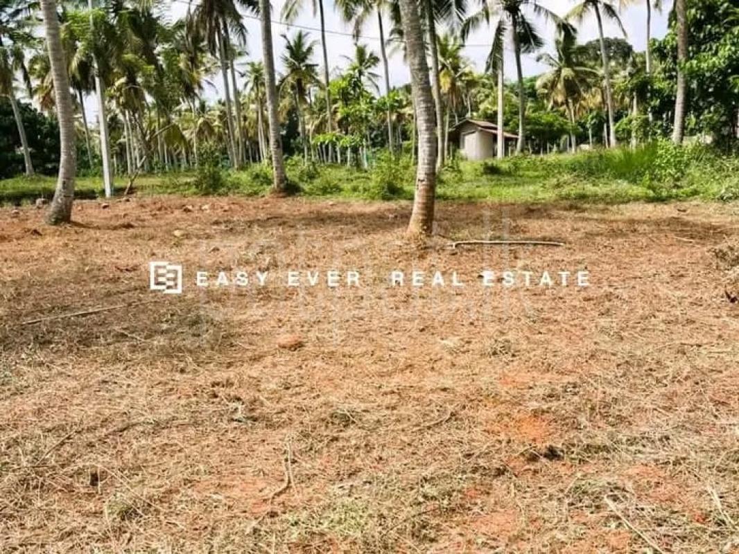 Residential Land for Sale in Udugampola ads-image-1