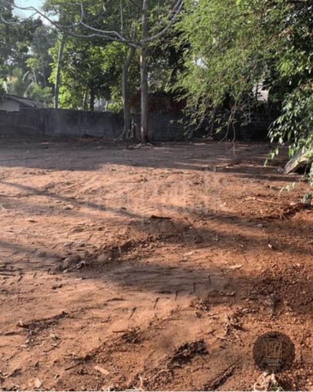 Agricultural Land for Sale in Piliyandala ads-image-1