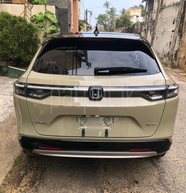 Advertisement image 4