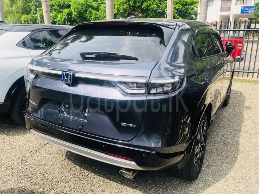 Advertisement image 3