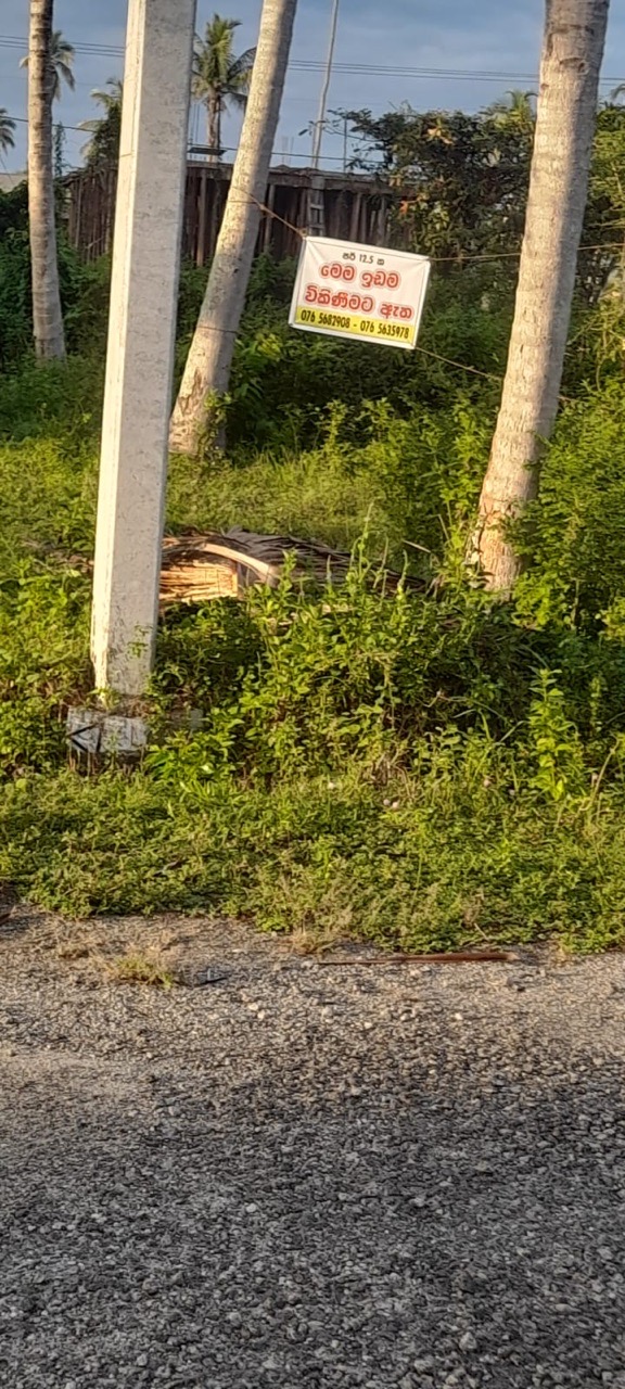 Commercial Land for Sale in Narammala