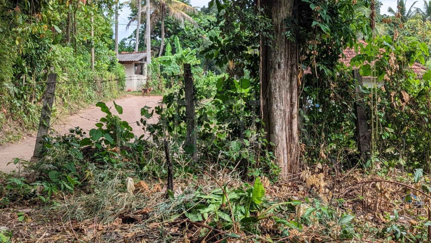 Residential Land for Sale in Minuwangoda ads-image-1