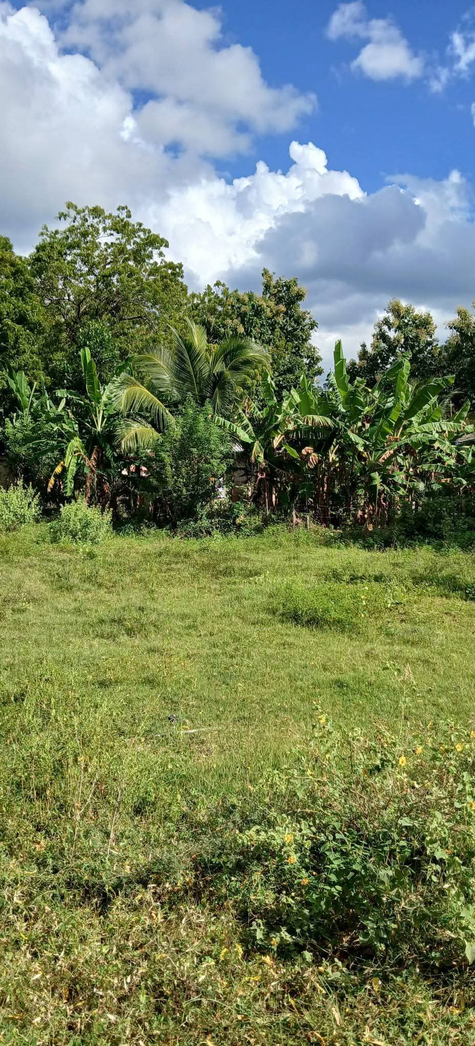 Residential Land for Sale in Kataragama ads-image-1