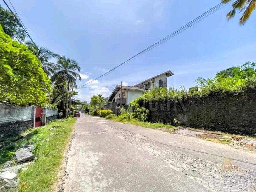 premium-listing-image