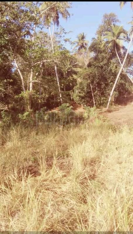 Commercial Land for Sale in Kurunegala