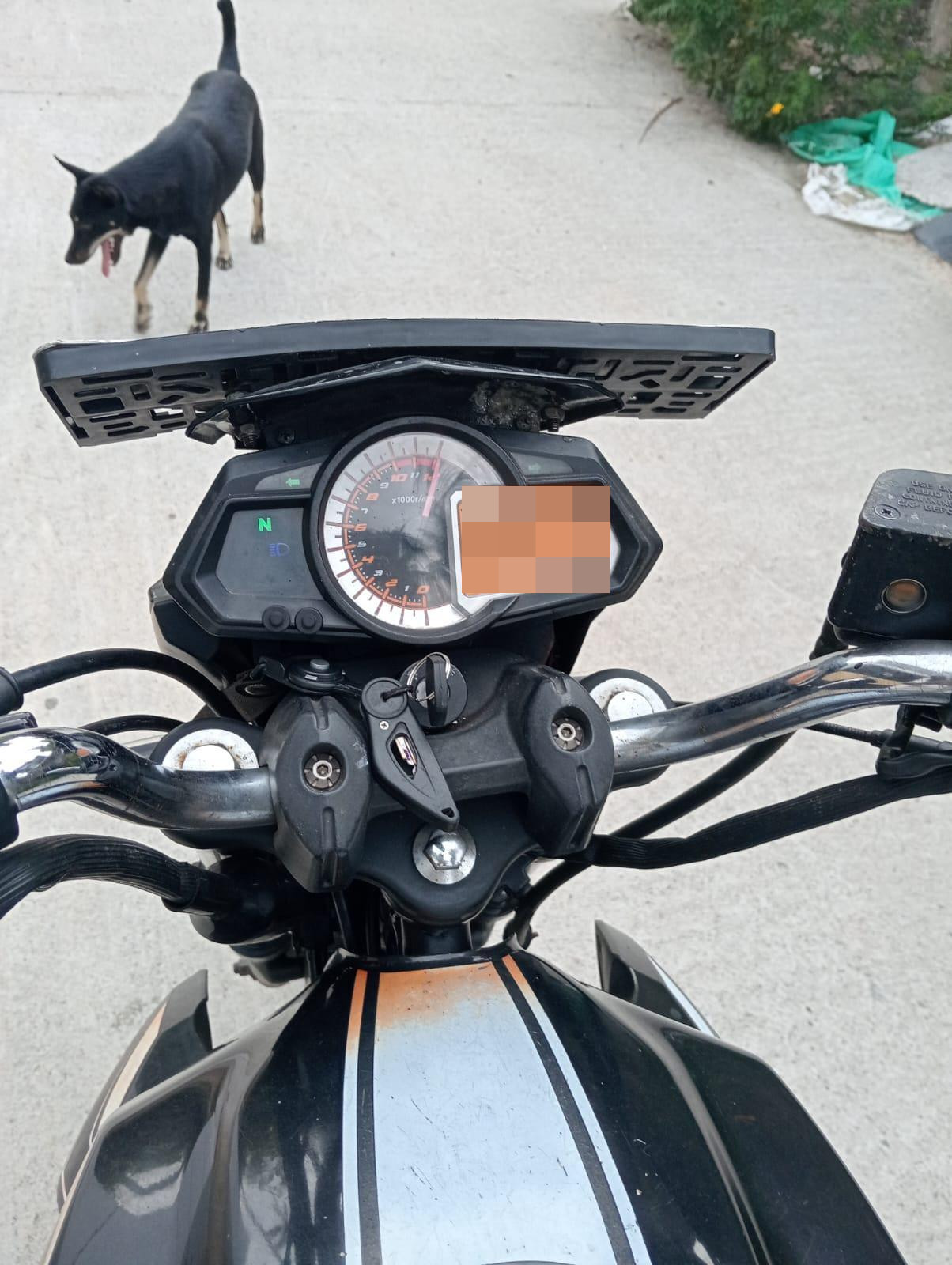 Advertisement image 3