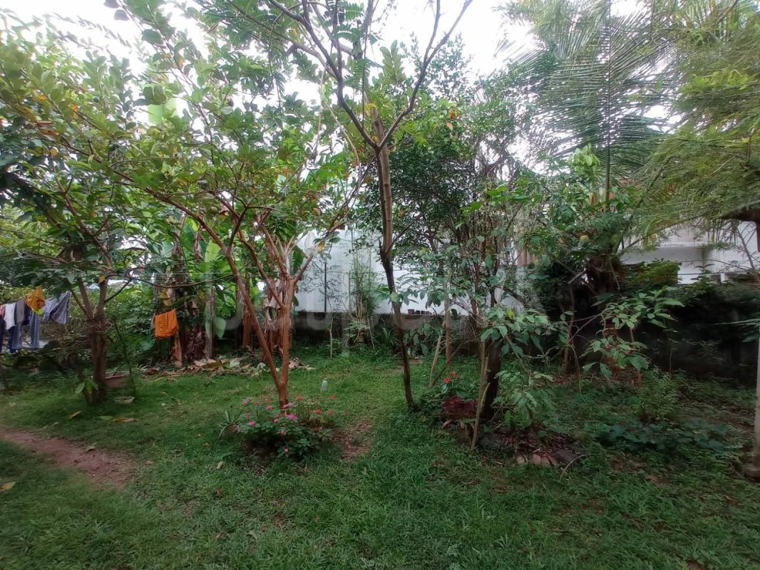 Commercial Land for Sale in Pannipitiya