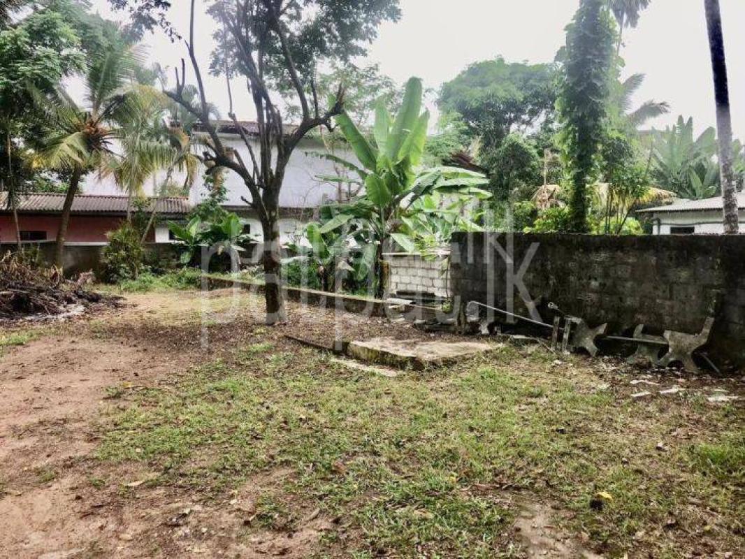 premium-listing-image