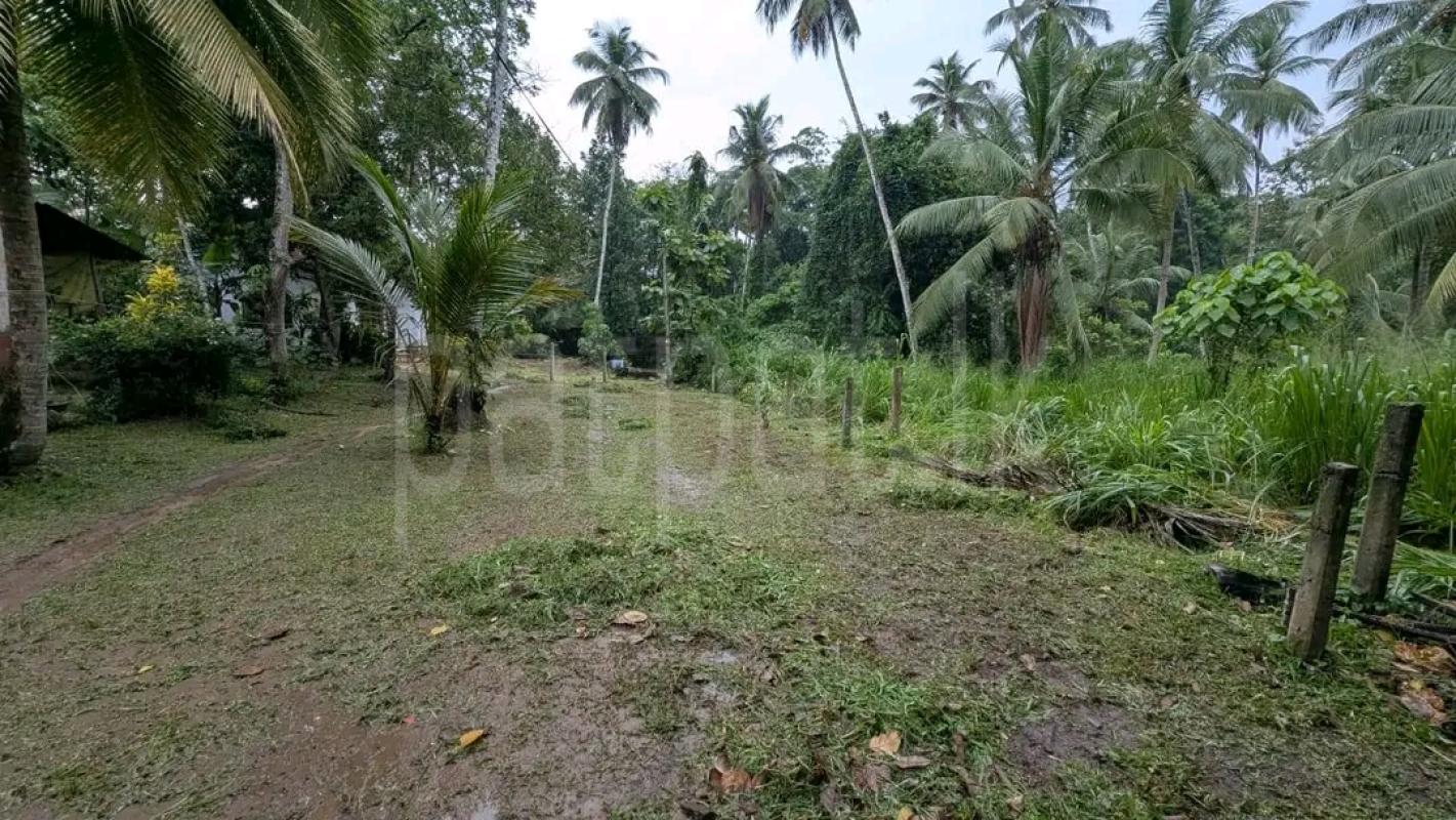 Residential Land for Sale in Horana