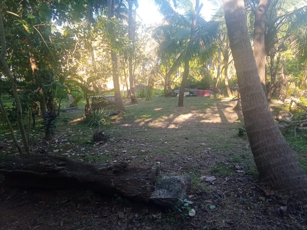 Residential Land for Sale in Mihintale