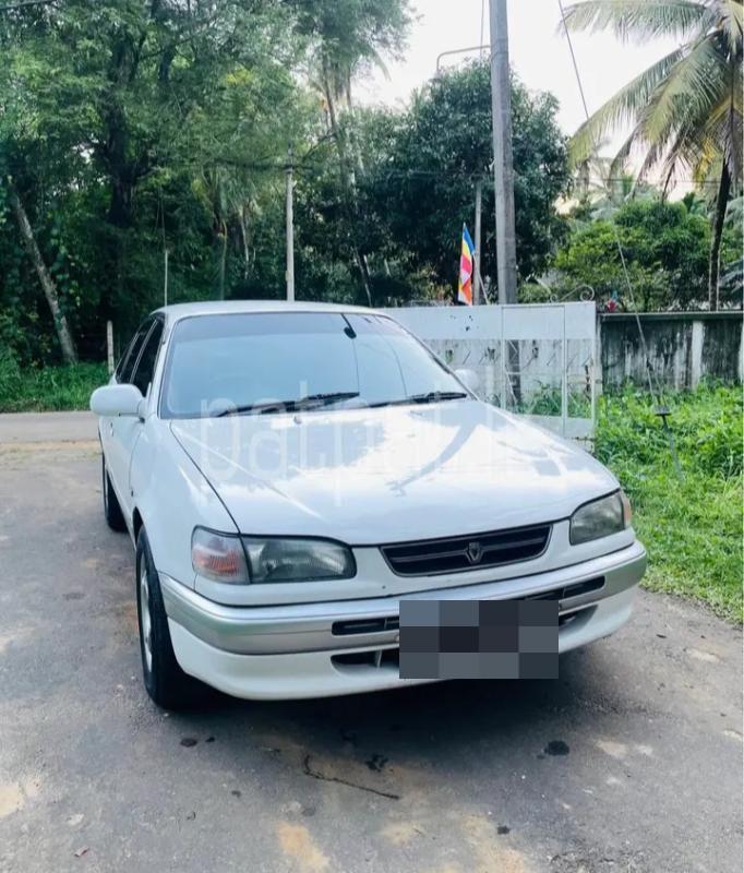 Toyota Corolla 1996 - பயன்படுத்தப்பட்டது கார் sale in Sri Lanka - patpat.lk