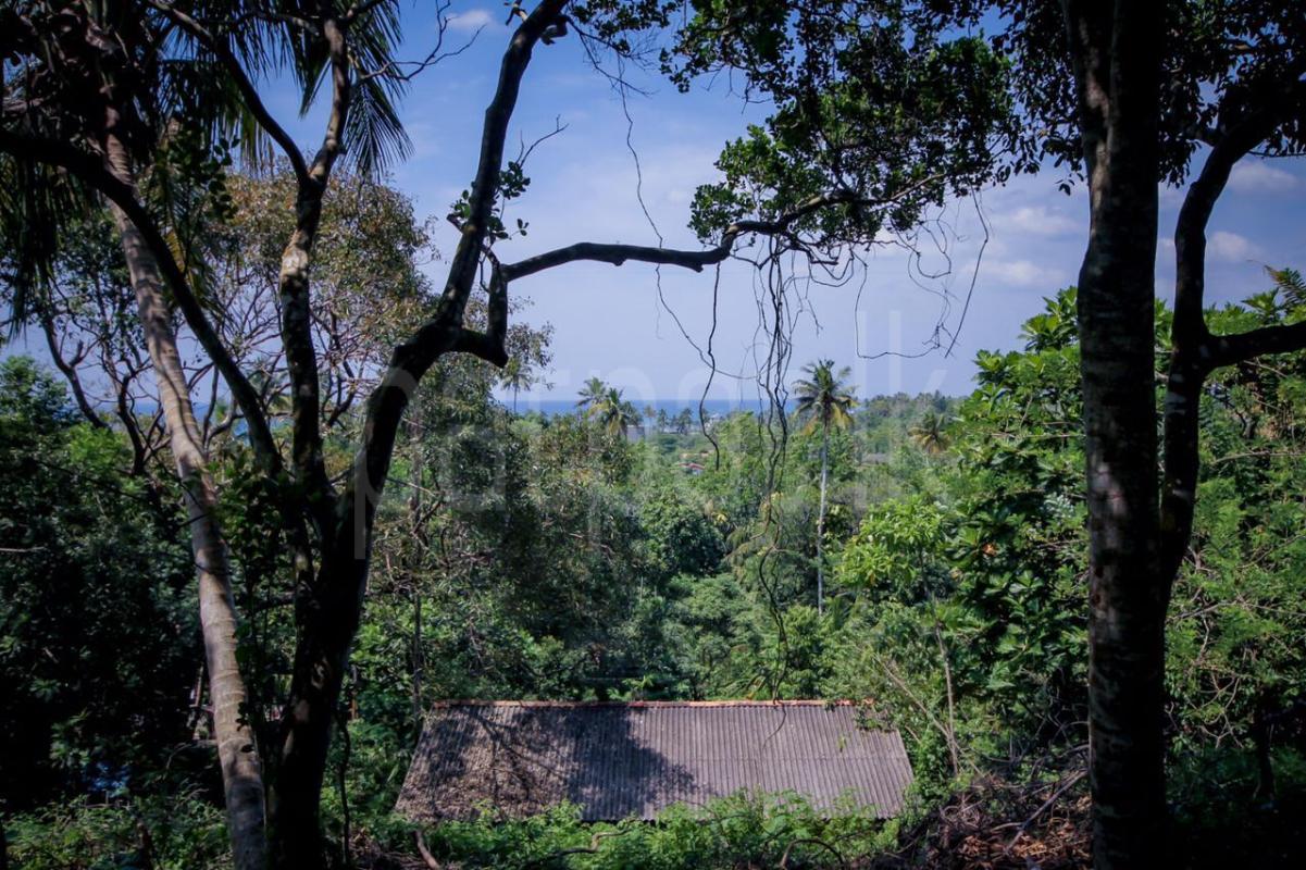 Commercial Land for Sale in Weligama ads-image-1