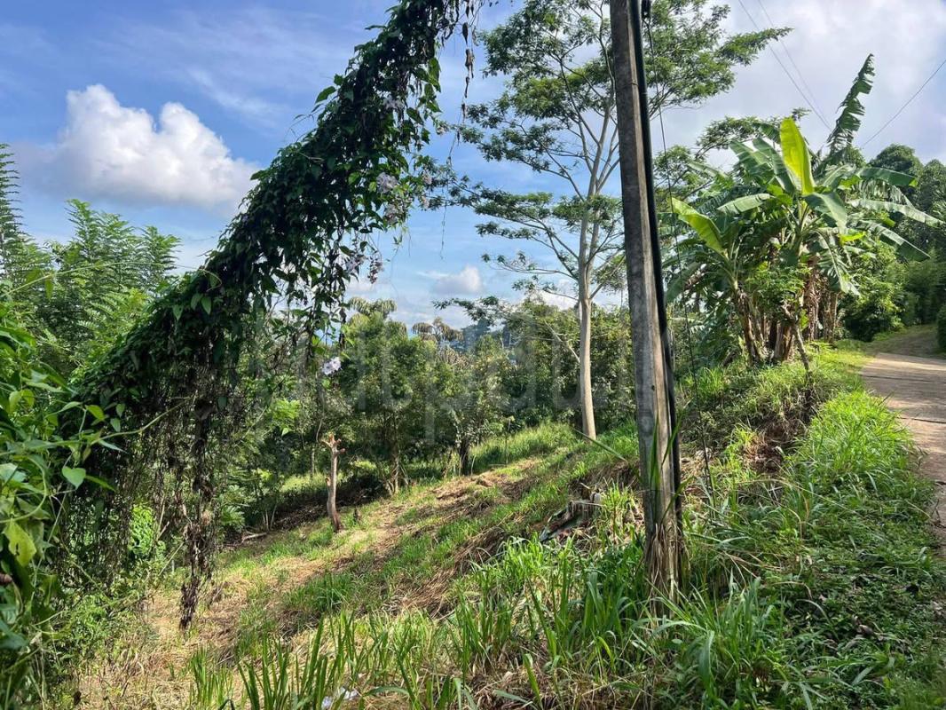 premium-listing-image