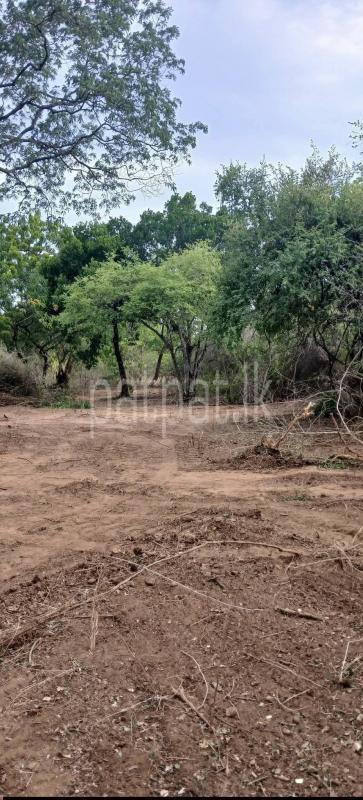 Residential Land for Sale in Kataragama