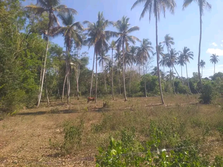 Commercial Land for Sale in Hambantota ads-image-1