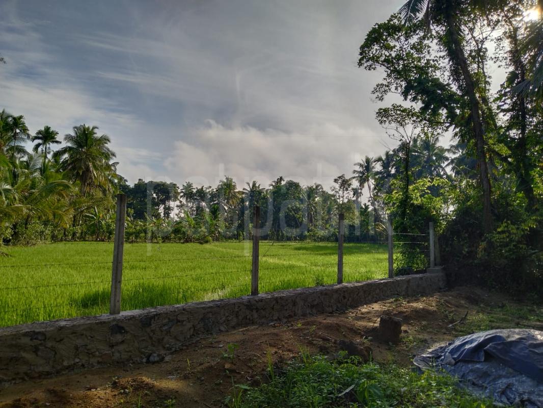 Residential Land for Sale in Horana ads-image-1