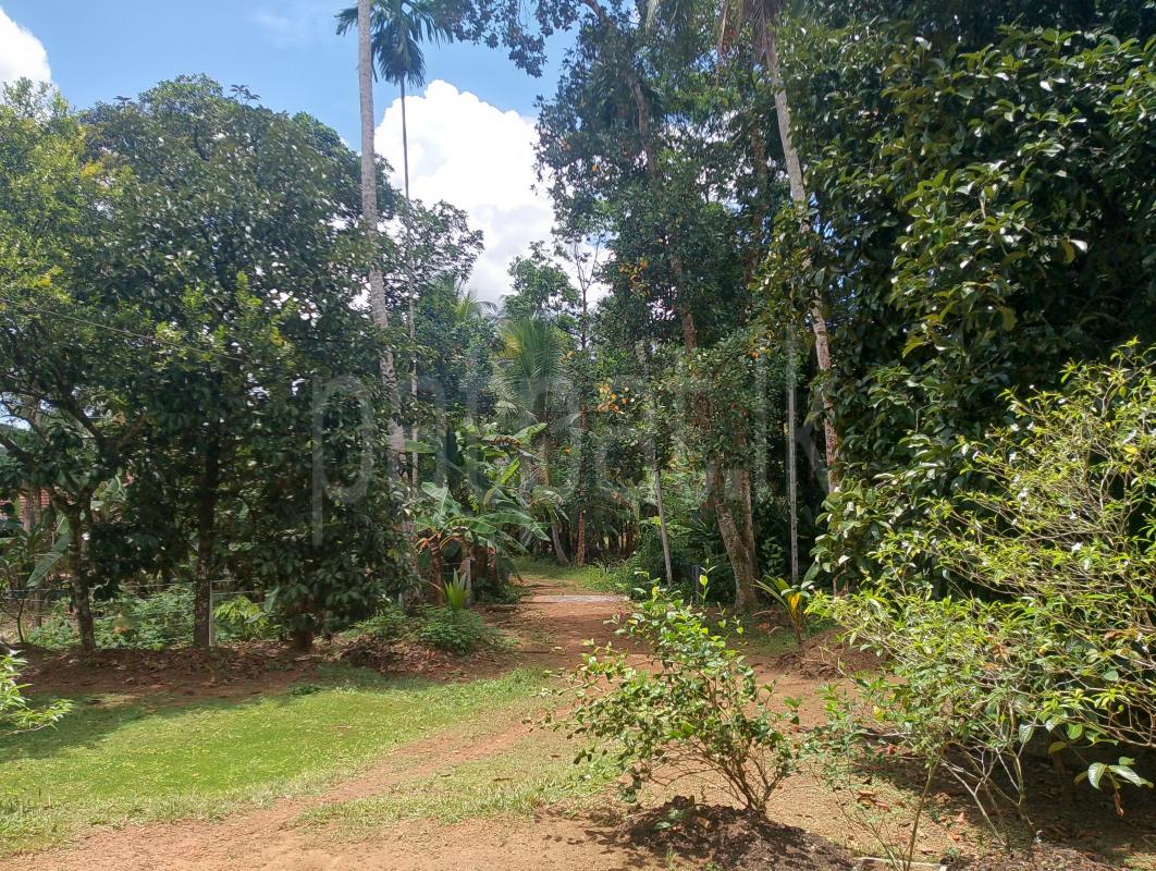 Residential Land for Sale in Padukka