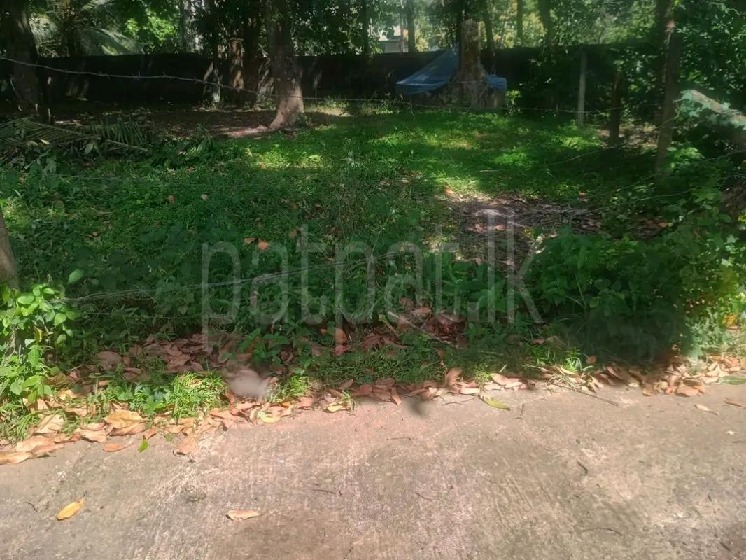 Residential Land for Sale in Ja-Ela