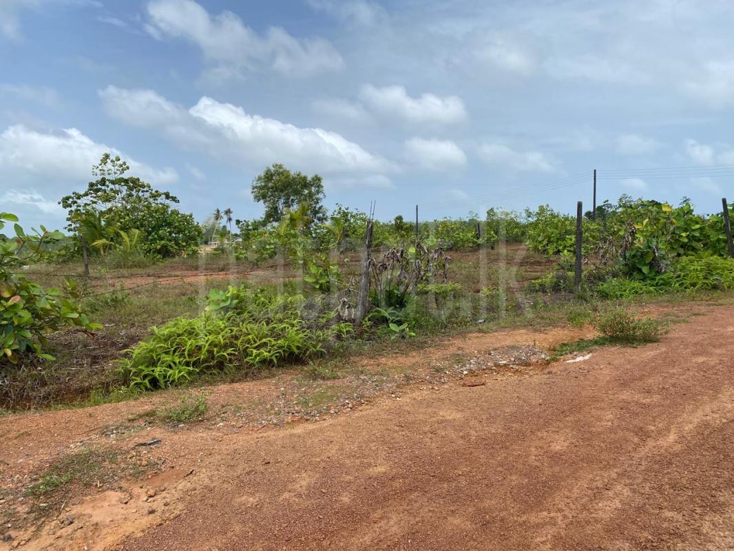 Agricultural Land for Sale in Matugama