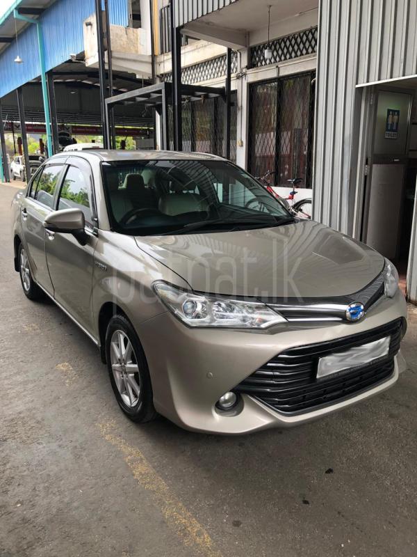 Advertisement image 2