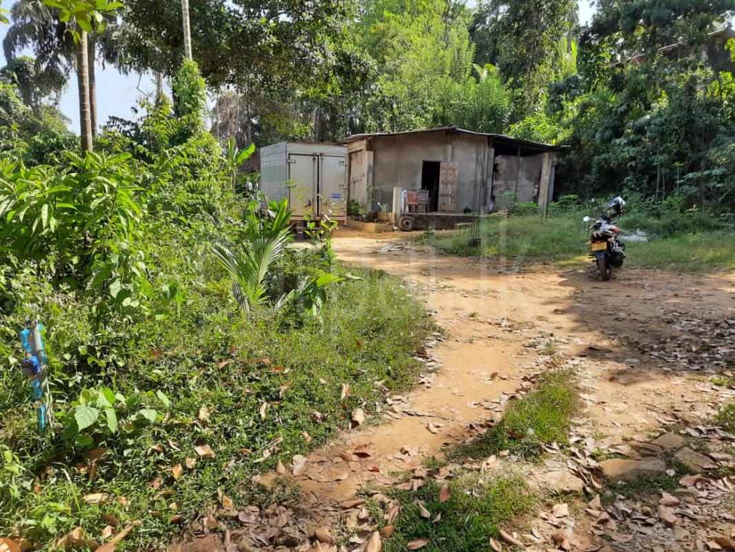 Residential Land for Sale in Meegoda ads-image-1