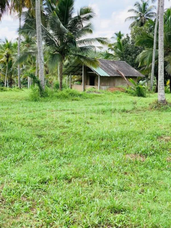 Agricultural Land for Sale in Gampaha ads-image-1