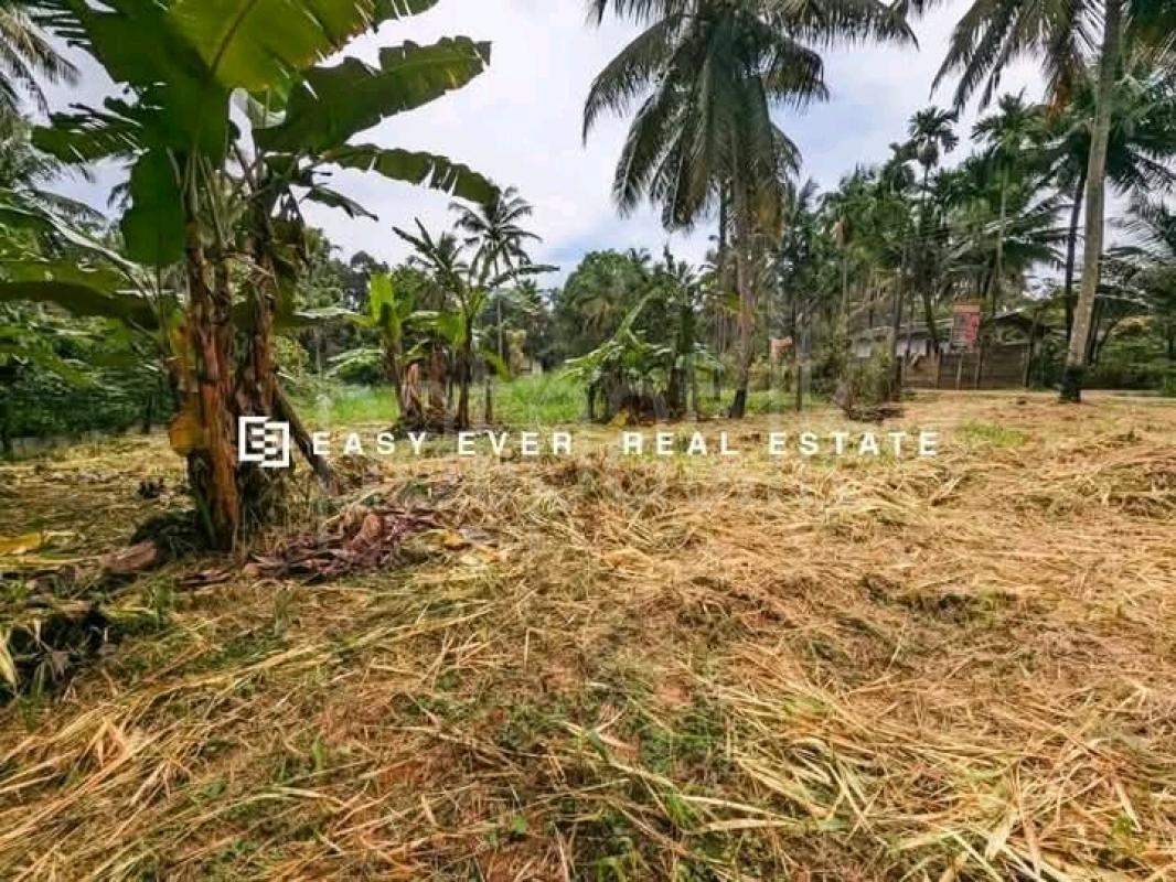 Commercial Land for Sale in Nittambuwa
