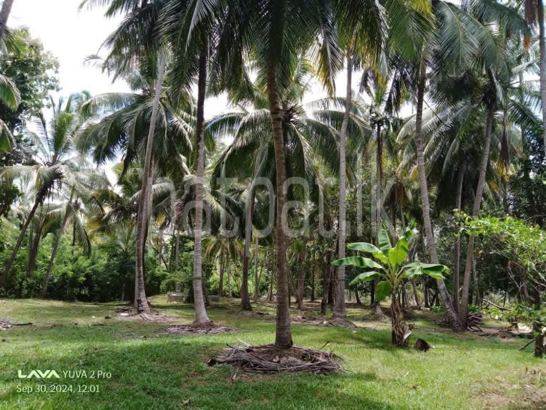 Agricultural Land for Sale in Kurunegala