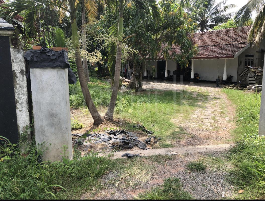 Residential Land for Sale in Negombo