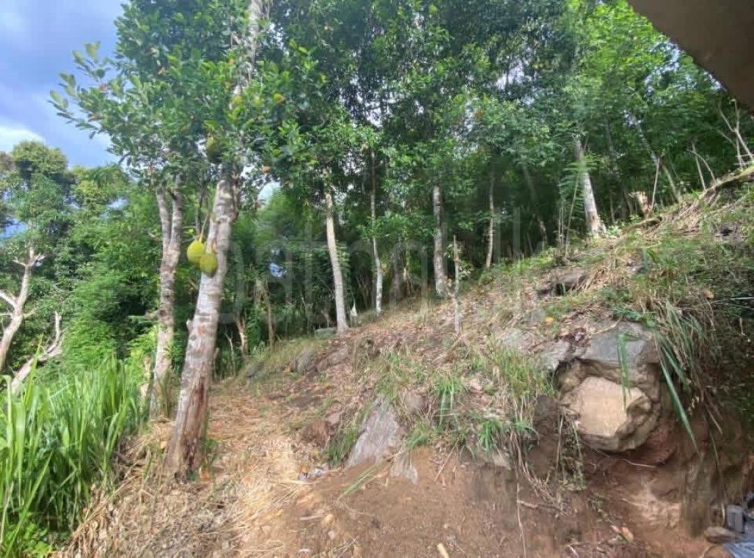 Residential Land for Sale in Gurudeniya ads-image-1