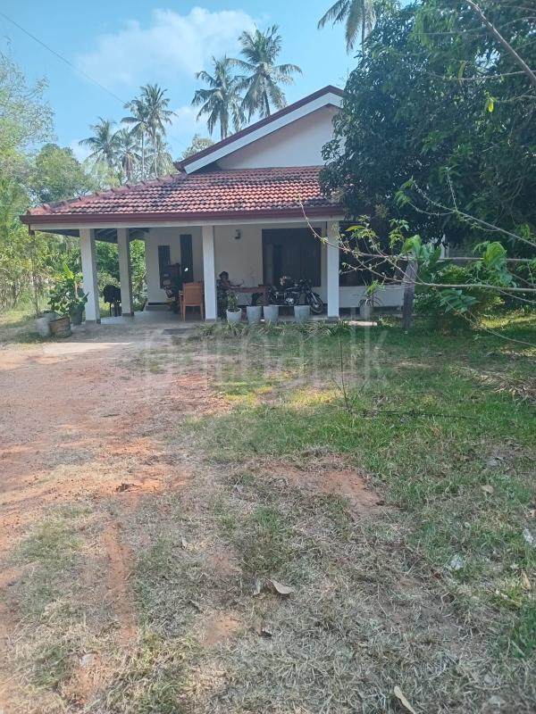 Residential Land for Sale in Nattandiya