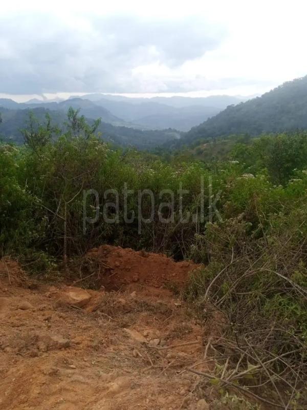 Residential Land for Sale in Badulla