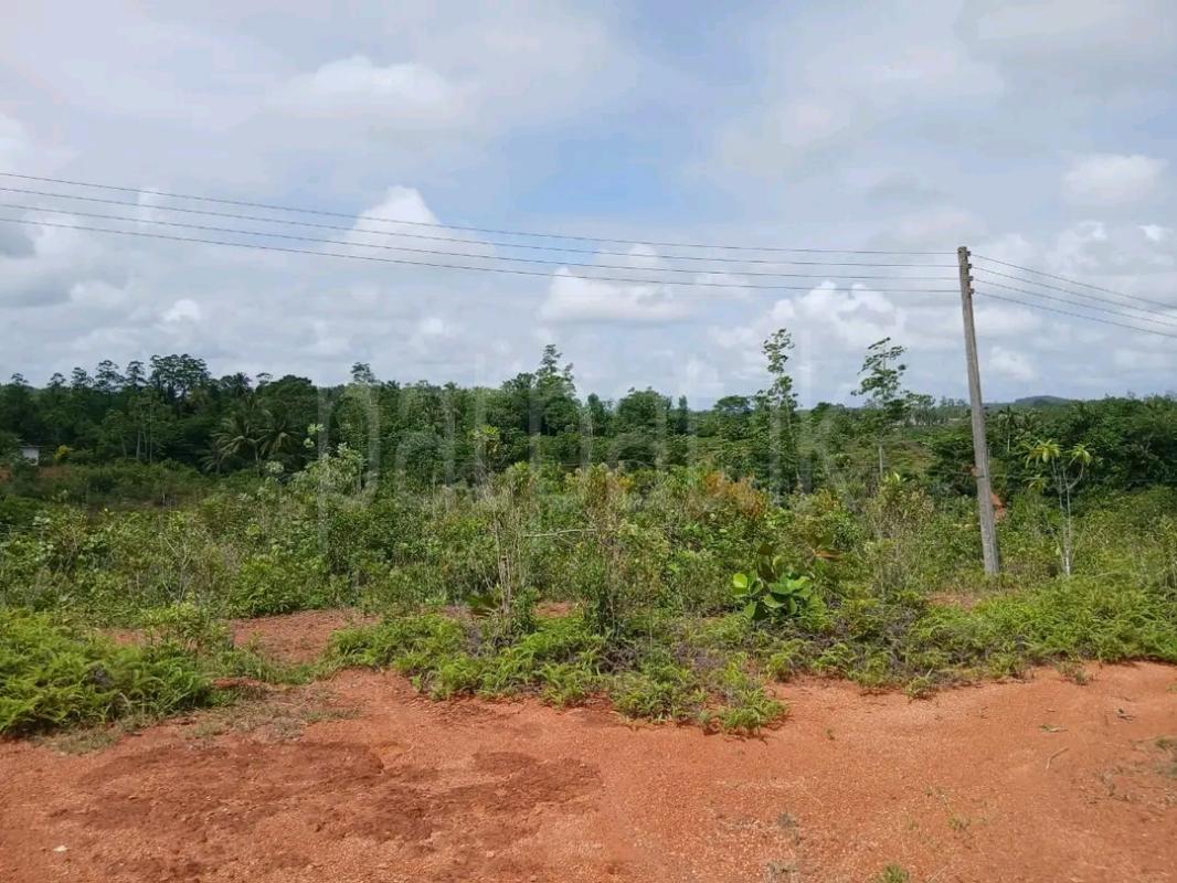 Residential Land for Sale in Kolonnawa