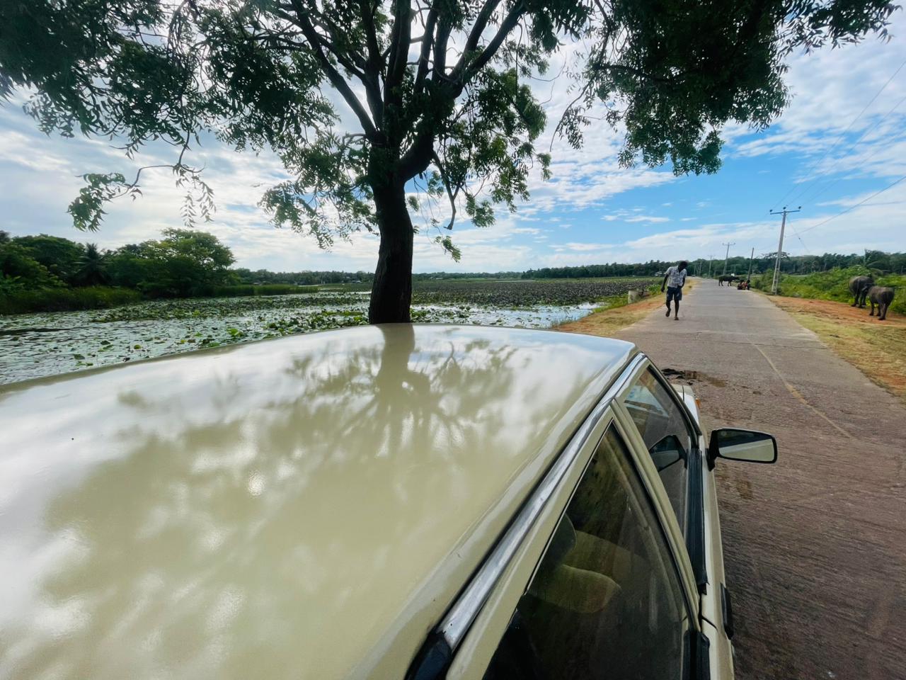 Mitsubishi Lancer 1983 - பயன்படுத்தப்பட்டது கார் sale in Sri Lanka - patpat.lk