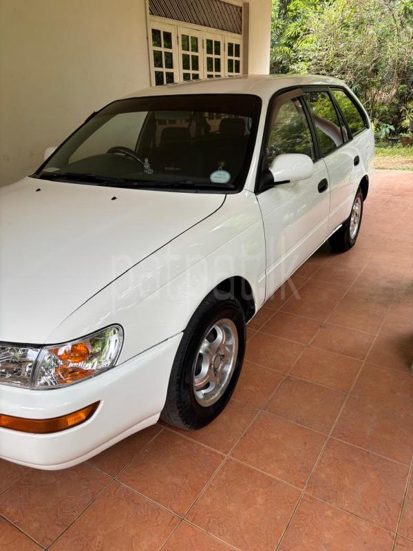 Toyota Corolla 1996 - பயன்படுத்தப்பட்டது கார் sale in Sri Lanka - patpat.lk
