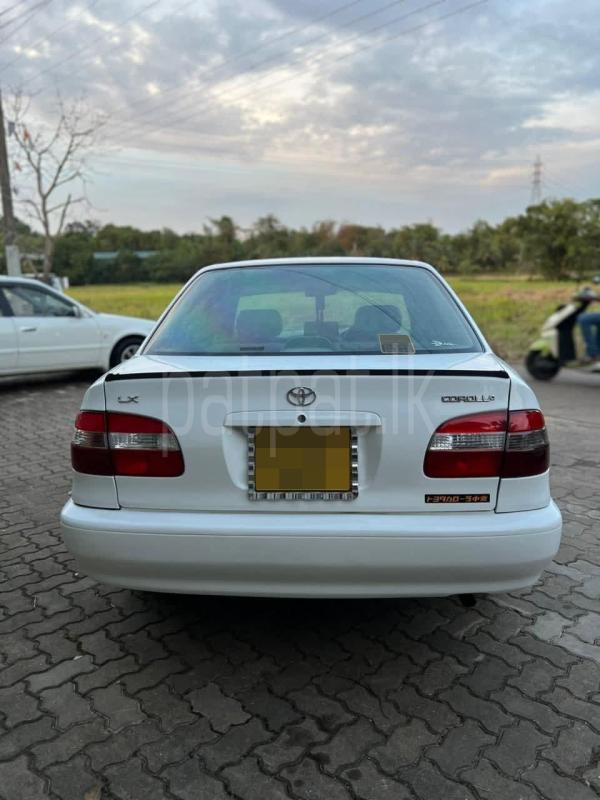 Advertisement image 5