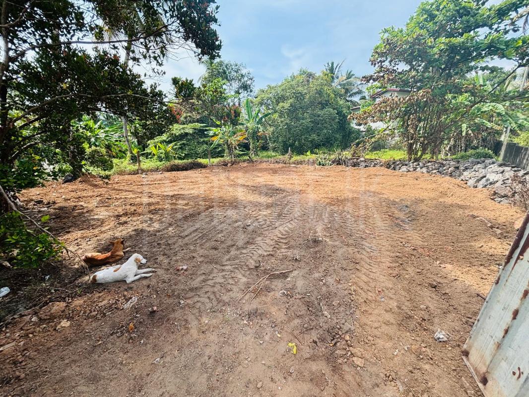 Commercial Land for Sale in Wadduwa ads-image-1