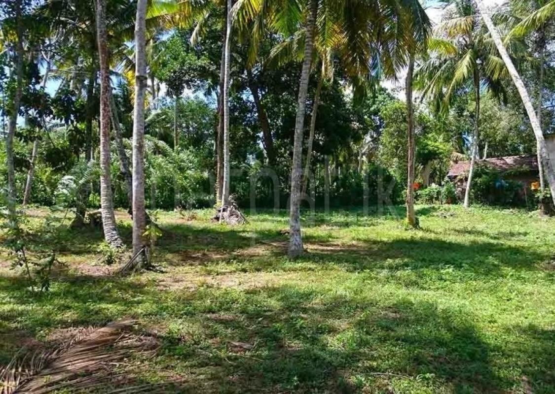 Agricultural Land for Sale in Talagala Homagama ads-image-1