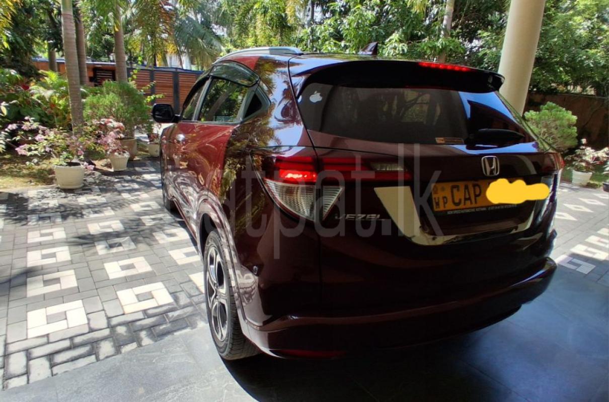 Advertisement image 3