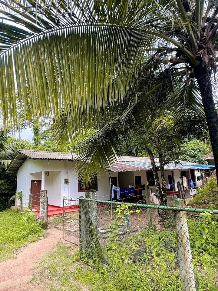 House for Sale in Minuwangoda ads-image-1