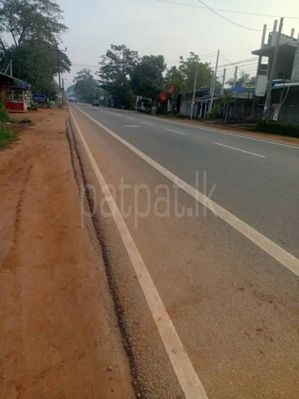 Agricultural Land for Sale in Talawa ads-image-1